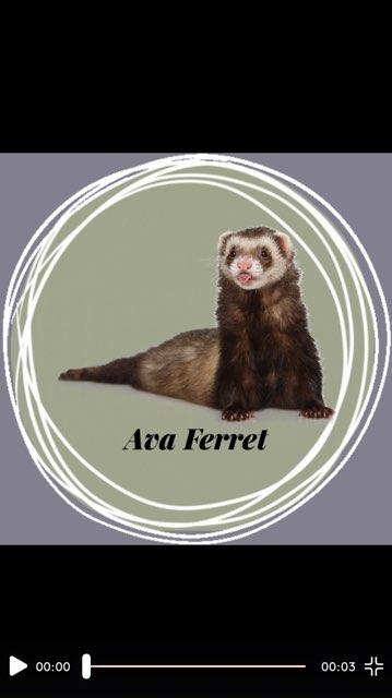 Ava profile photo
