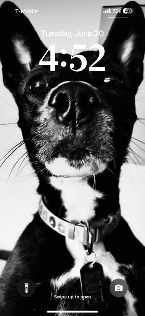 HeauxlyShyt profile photo