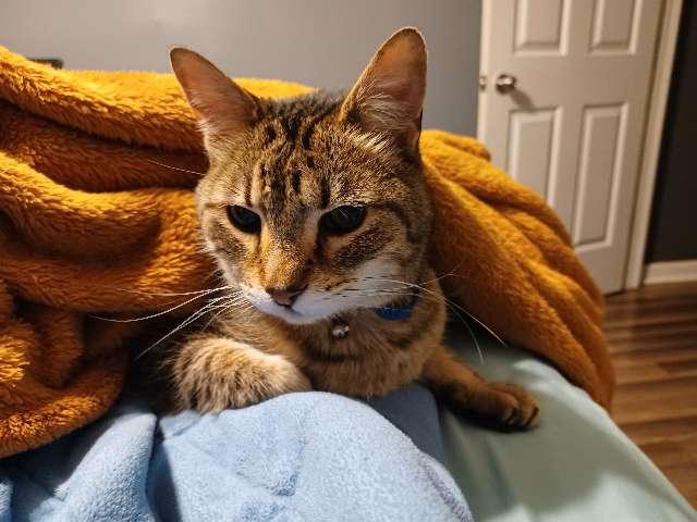 Kia profile photo