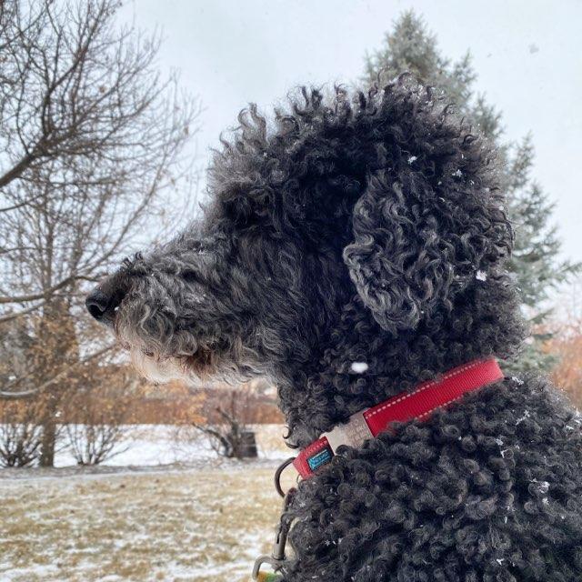 Clara profile photo
