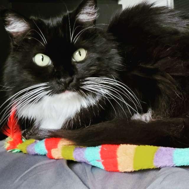 PatriciaFR profile photo