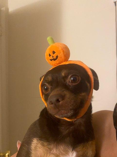 Mia profile photo