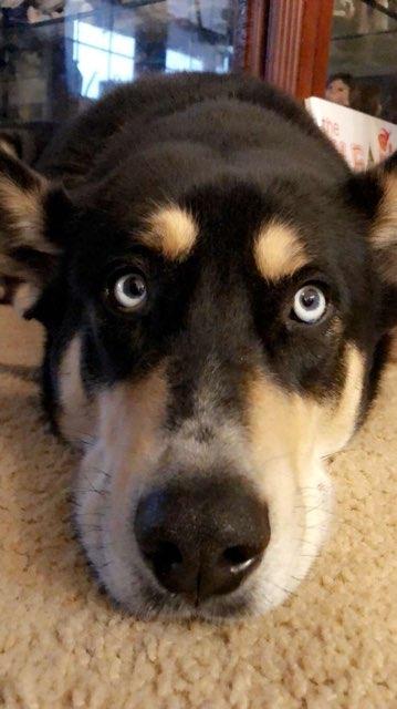 Abby profile photo