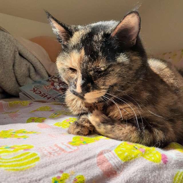 Molly profile photo