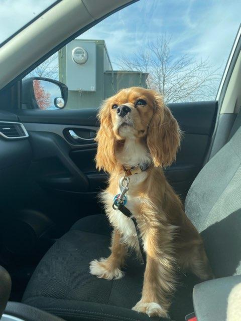Abby profile photo