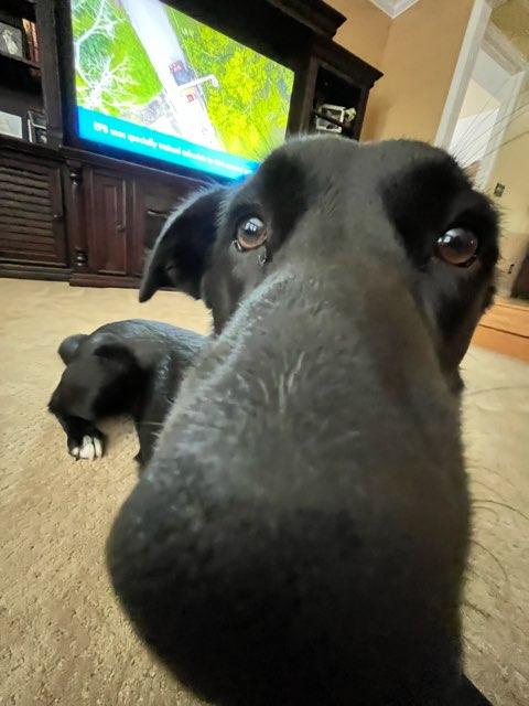 Reagan profile photo