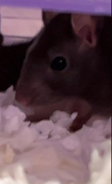 Karley profile photo